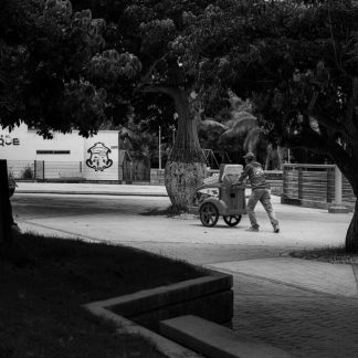 CARREOLA 4 EN 1