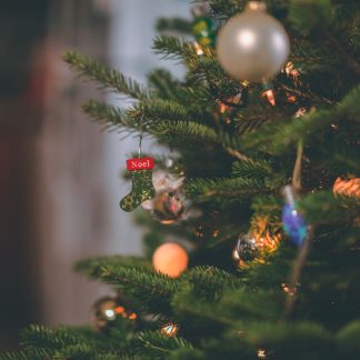 ORNAMENTS PICKLEBALL