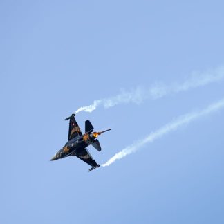 BUZZ BOMBER SONIC